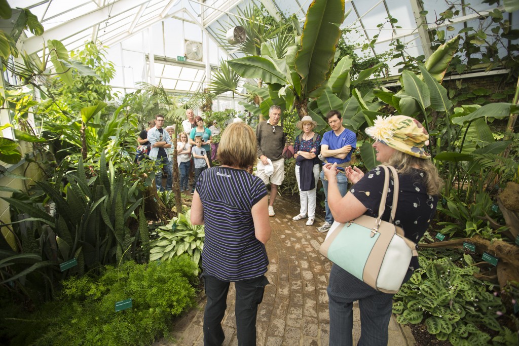 Anne Swithinbank and Ann Maloney talk Tropical Plants