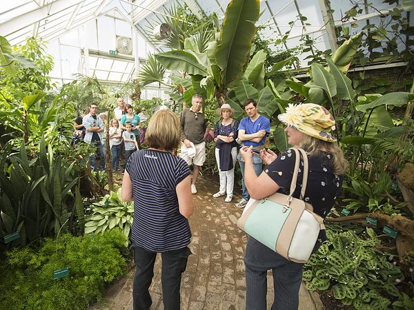 Anne Swithinbank and Ann Maloney talk Tropical Plants