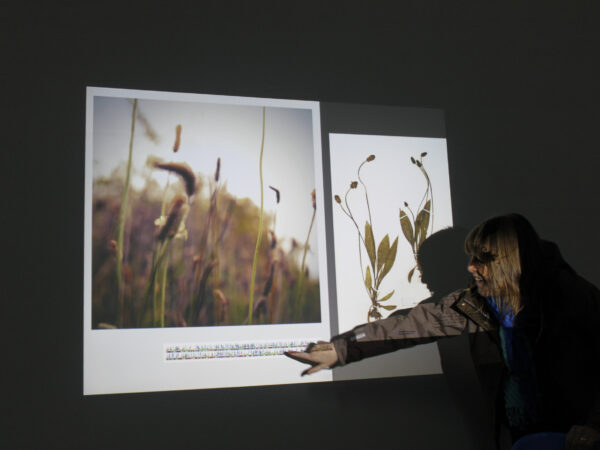 Dr Andrea Liggins presents her artwork for the Barcode Wales - Beyond the Visible exhibition