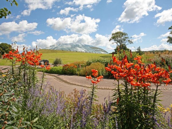 High summer at the National Botanic Garden of Wales