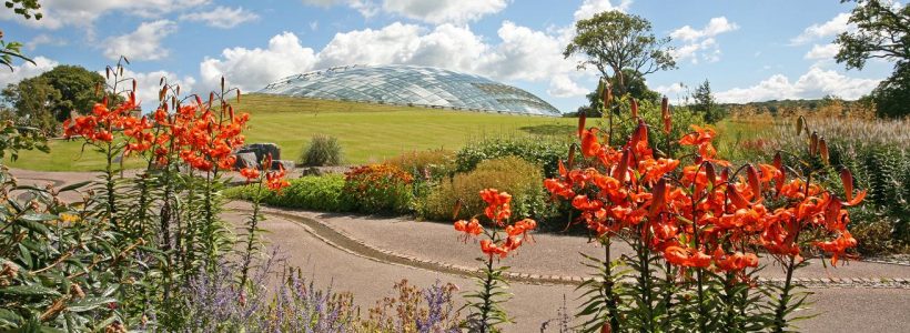 High summer at the National Botanic Garden of Wales