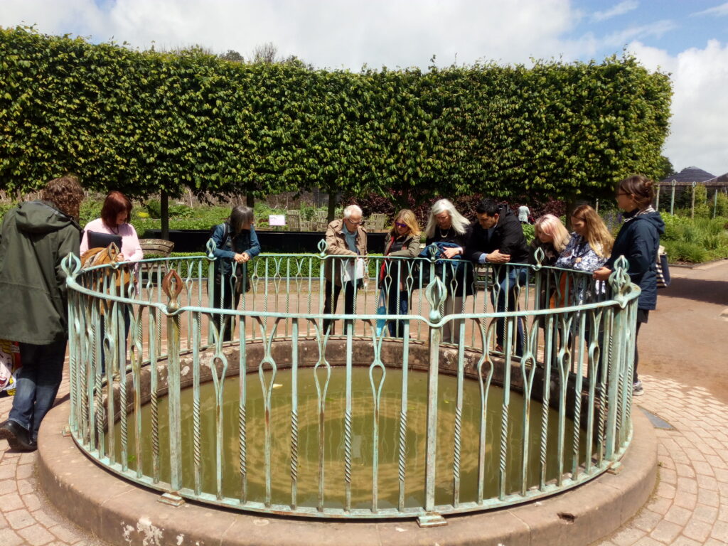 people looking at a pool of water
