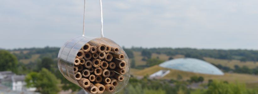 All about Bee Hotels and how to make your own!