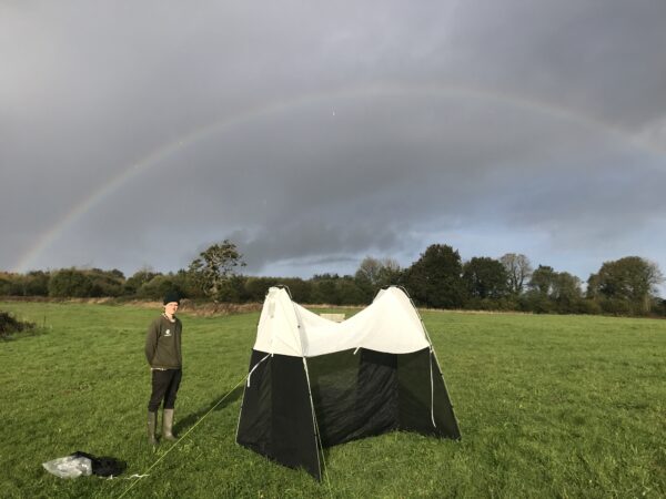 malaise trap