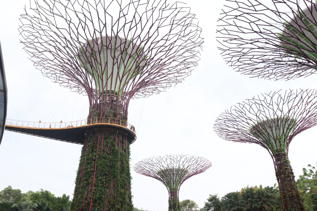 Supertrees, Singapore