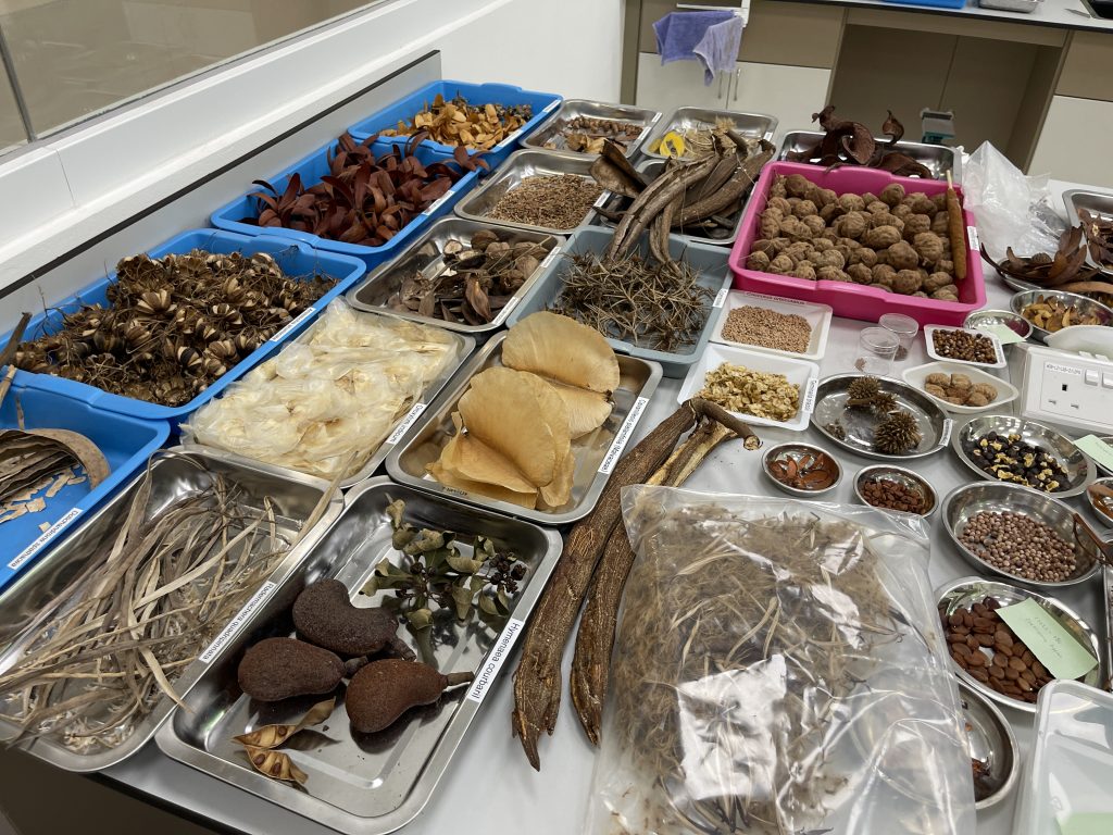 Singapore Botanic Gardens Seed Bank