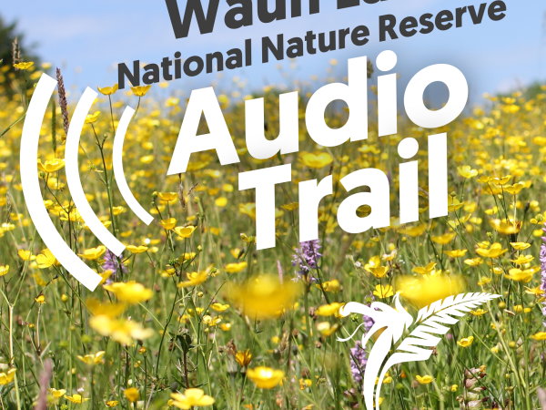 audio trail artwork