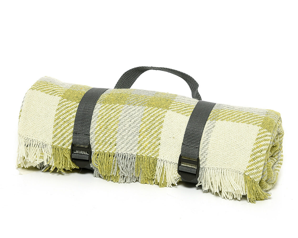National Botanic Garden of Wales Picnic Blanket : Green & Silver