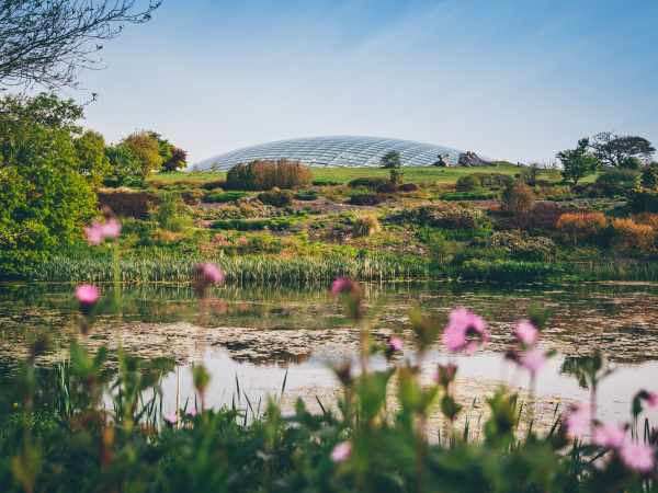 A view from a day out at the National Botanic Garden Of Wales with the Great Glasshouse in the background
